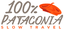 100% Patagonia