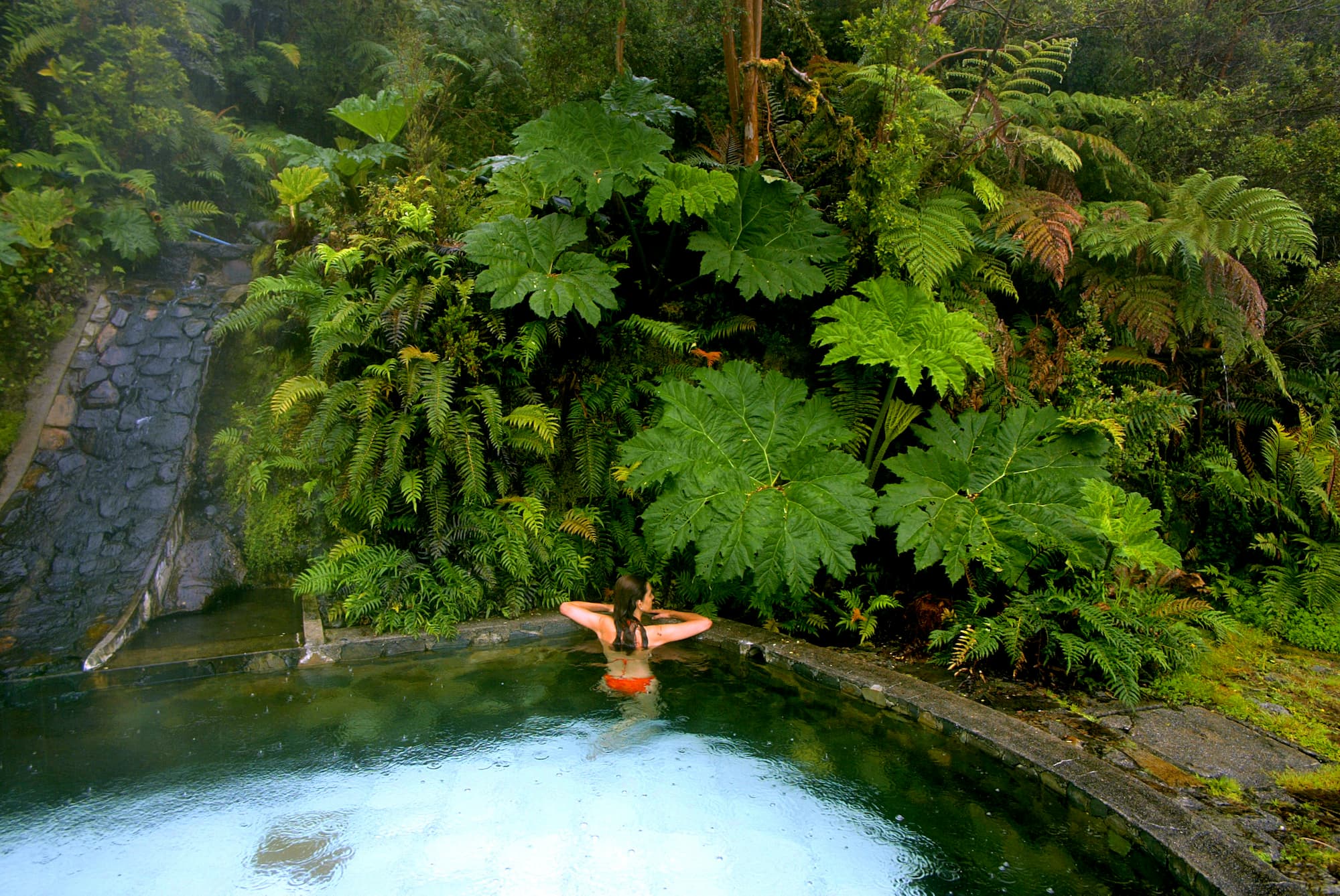 Baños termales entre el bosque siempre verde – 100% Patagonia